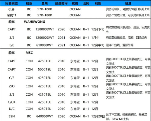 持续招募|厦门华洋岸基、散货、集装箱船队多职位招募需求！11月29日